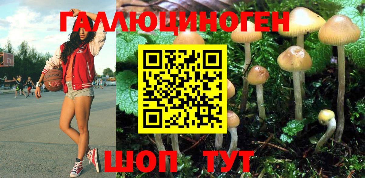 Галлюциногенные грибы MAGIC MUSHROOMS  Вход с VPN  Псилоцибиновые грибы Psilocybine cubensis  Алапаевск 